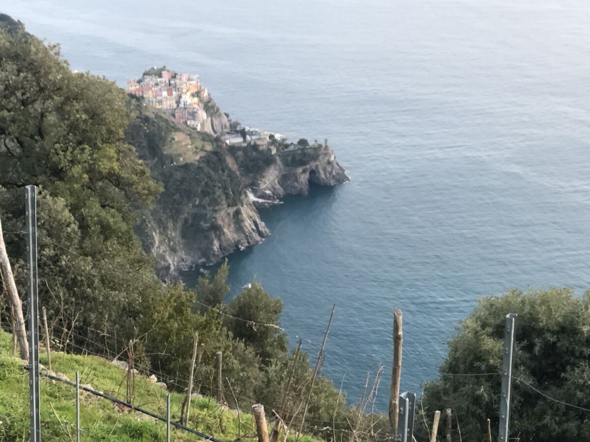 Manarola Cinque Terre Sicht von Volastra