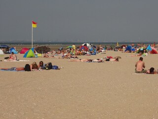 Vakantiehuis Ouddorp Omgeving 17