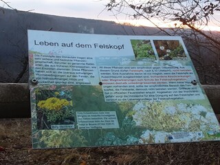 Vakantiehuis Irndorf Document 40