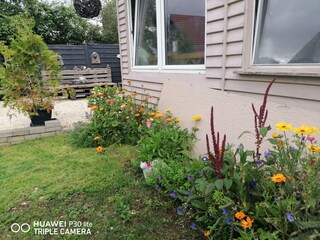 Gartenhütte mit Sitzplatz und Grill