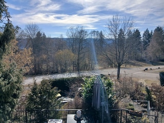 Blick vom Schlafzimmer aus auf Obstwiese und Natur