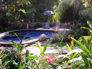 view from the guest kitchen
