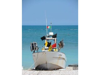 Apartamento de vacaciones Orciano di Pesaro Entorno 23