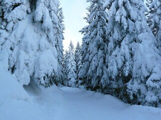 verschneite Landschaft