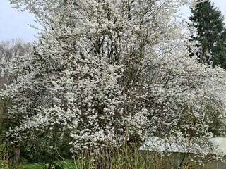 Appartement de vacances Leutkirch Enregistrement extérieur 9