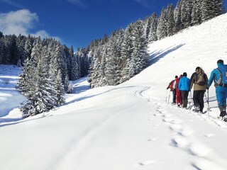 Schneeschuhwandern an der Adelegg