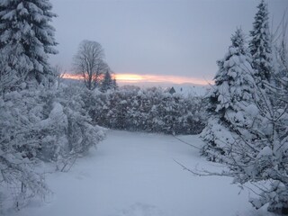Schnee im eigenen Garten