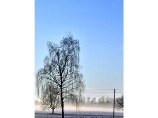 Appartement de vacances Leutkirch Enregistrement extérieur 15