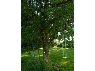 Appartement de vacances Leutkirch Enregistrement extérieur 19