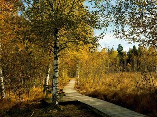 Holiday apartment Leutkirch Outdoor Recording 18