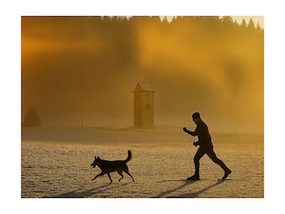 Direkt Einstieg in Langlaufloipe gegenüber Ferienwohnun