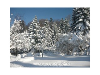 verschneiter Garten im Winter