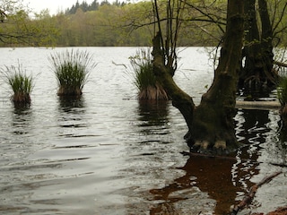 Schwarzer See