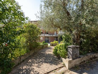 Apartment Tuoro sul Trasimeno Features 29