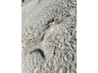 Strandnixe Prerow