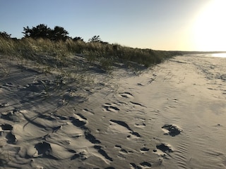 Dünen am weitläufigen Strand im Mai