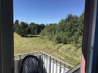 Ausblick vom Balkon