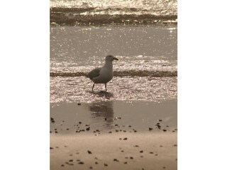 Casa per le vacanze Schoorldam Ambiente 14