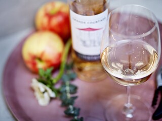 Appartamento per vacanze Höhr-Grenzhausen Caratteristiche 23