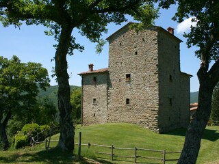 Villa Arezzo (Stadt) Registrazione all'aperto 3