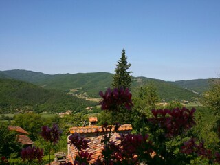 Villa Arezzo (Stadt) Registrazione all'aperto 9