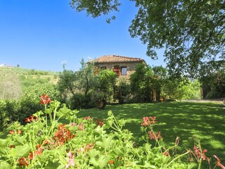 Ferienhaus Monte San Savino Außenaufnahme 6