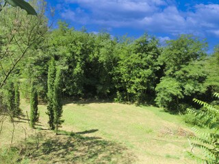 Ferienhaus Monte San Savino Umgebung 14