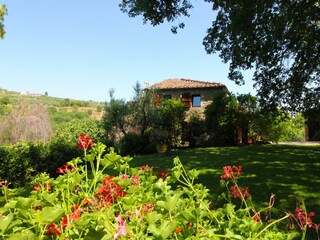 Casa per le vacanze Monte San Savino Registrazione all'aperto 6