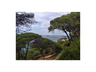 Casa per le vacanze Chiclana de la Frontera Ambiente 32