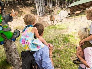 Appartamento per vacanze Saalbach Ambiente 38