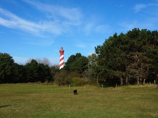 Vakantiehuis Burgh-Haamstede Omgeving 17