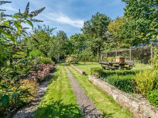 Vakantiehuis Burgh-Haamstede Buitenaudio-opname 3