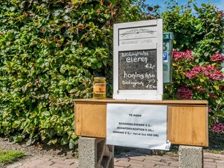 Vakantiehuis Burgh-Haamstede Buitenaudio-opname 6