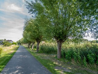 Vakantiehuis Burgh-Haamstede Omgeving 20