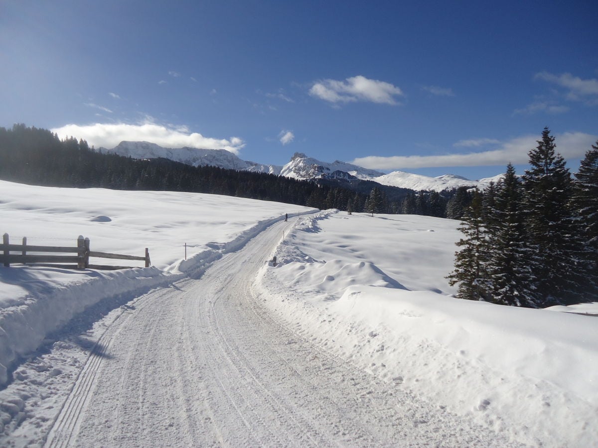 Romantischer Spaziergang durch die Winterlandschaft.