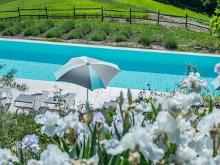 Villa del Duca - Infinity pool
