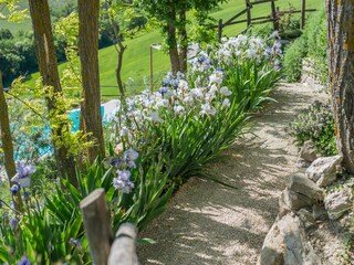 Villa del Duca - Scenic path