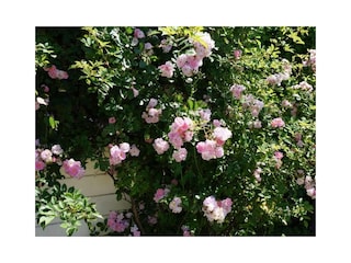 Villa Callantsoog Registrazione all'aperto 2