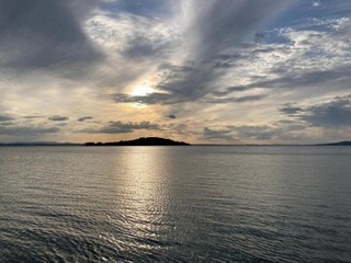 Appartement Tuoro sul Trasimeno Environnement 33