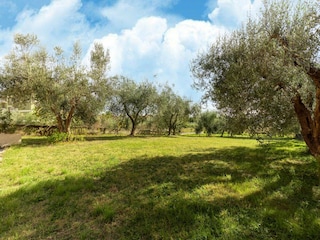 Appartement Tuoro sul Trasimeno Buitenaudio-opname 5