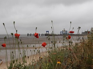 Blick auf den Fähranleger