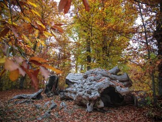 Villa Tagliacozzo Omgeving 30