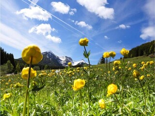 Villa Tagliacozzo Environment 33