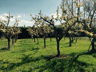 Villa Tagliacozzo Omgeving 33