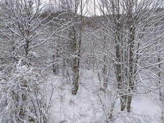 Villa Tagliacozzo Omgeving 36