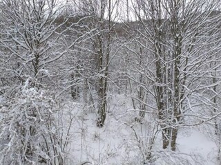 Villa Tagliacozzo Umgebung 36