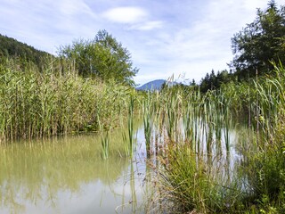 Vakantieappartement Koppl Buitenaudio-opname 6