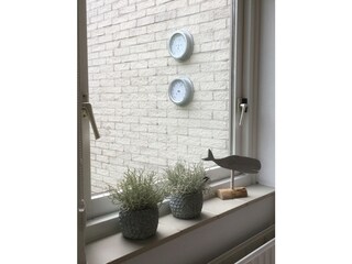 Casa per le vacanze Ouddorp Caratteristiche 9