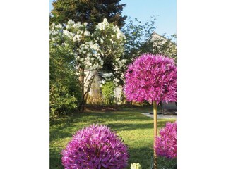 Casa per le vacanze Ouddorp Caratteristiche 28