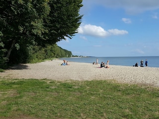 Haffstrand in Kamminke in 3 km Entfernung